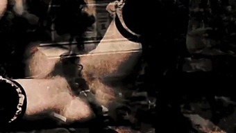 Classic Vintage Porn With A Focus On Animalistic And Retro Pussy