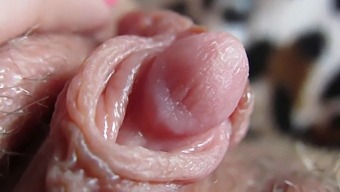 Up Close And Personal With My Huge Clit