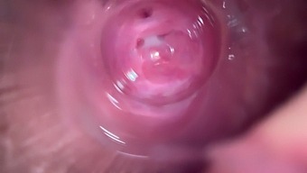 Intense Pov Orgasm With A Young Girl